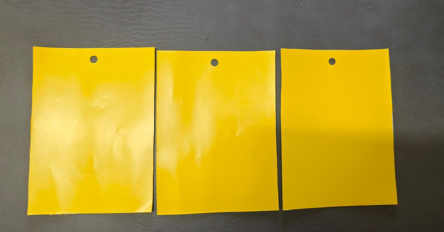 Insect Traps for Files Non-Adhesive Tags