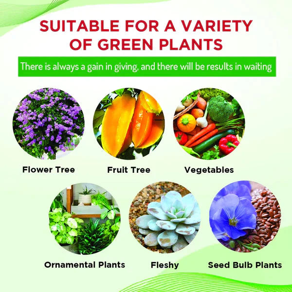 Organic Plant Boost Liquid Bio Fertilizer (Buy 1 Get 3 Free)