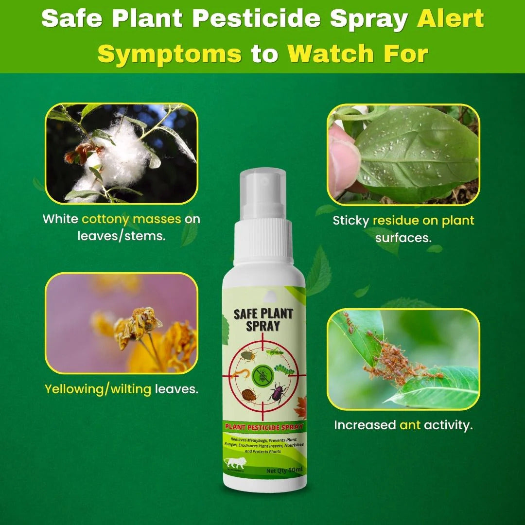 Ultimate Plant Care Combo Pack - With Free Plant Cutter