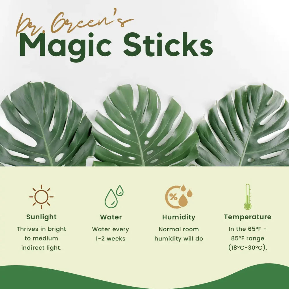 Magic Plant Sticks (Buy 1 Get 1 Free)