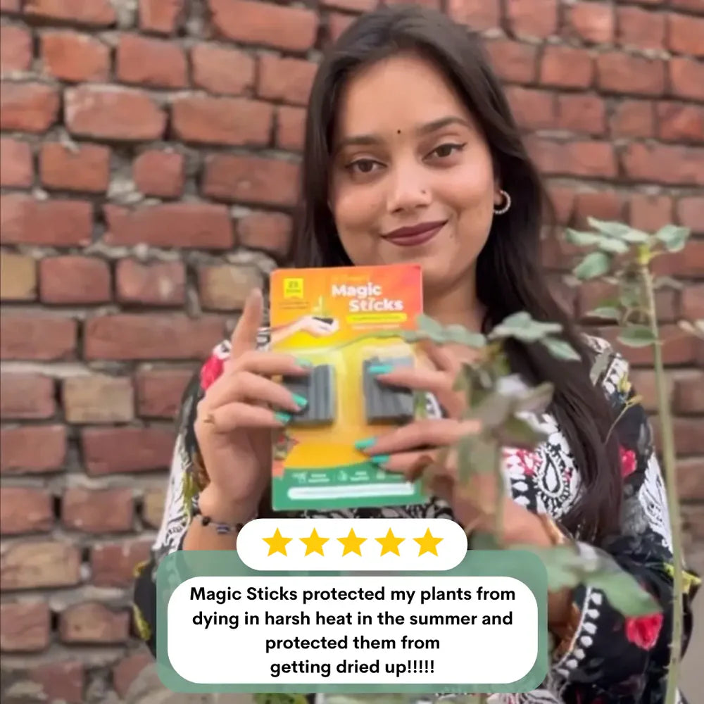 Magic Plant Sticks (Buy 1 Get 1 Free)