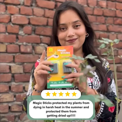 Magic Plant Sticks (Buy 1 Get 1 Free)