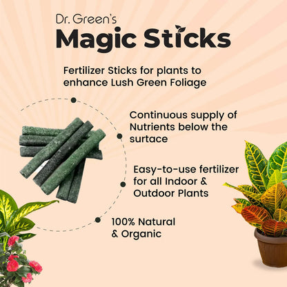 Magic Plant Sticks (Buy 1 Get 1 Free)