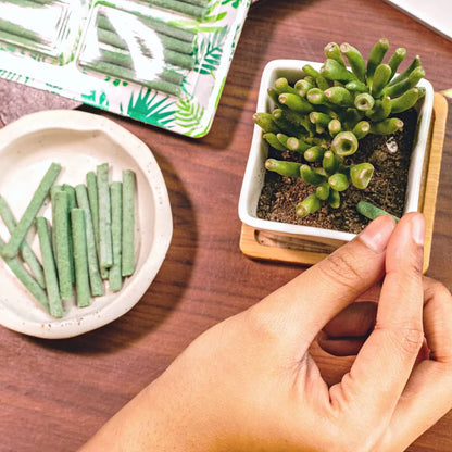 Magic Plant Sticks (Buy 1 Get 1 Free)