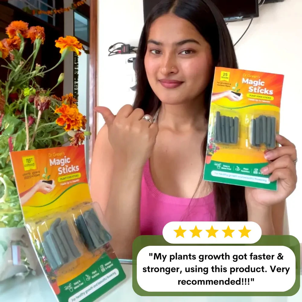 Magic Plant Sticks (Buy 1 Get 1 Free)